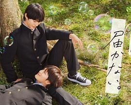 好口碑的房产seo优化